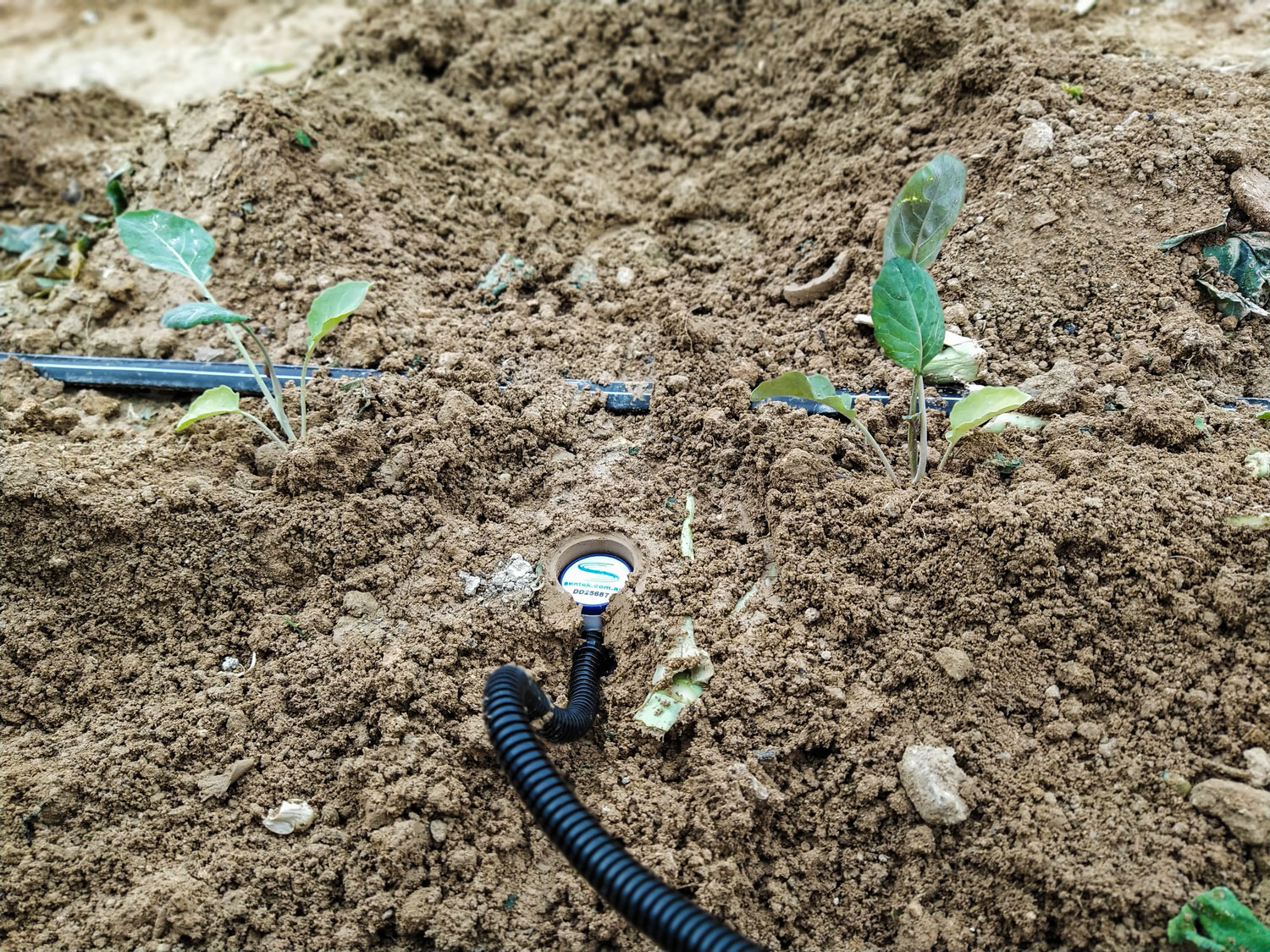 instalacion sonda humedad